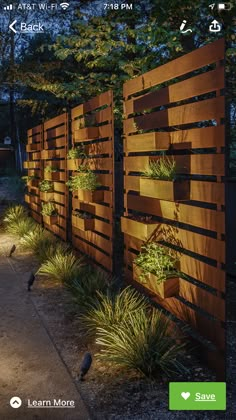 an image of a wooden fence with plants growing on the sides and birds in the background