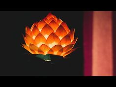 a large orange flower sitting on top of a table