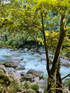 a river running through a forest filled with lots of rocks and green trees in the background