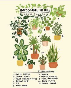 a screen shot of an iphone with plants in pots and the words impossible to kill on it