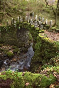 a moss covered bridge over a stream in the woods