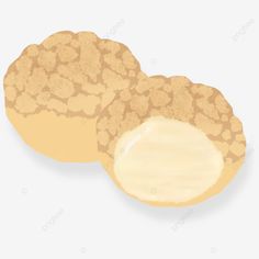 an illustration of two cookies on a white background