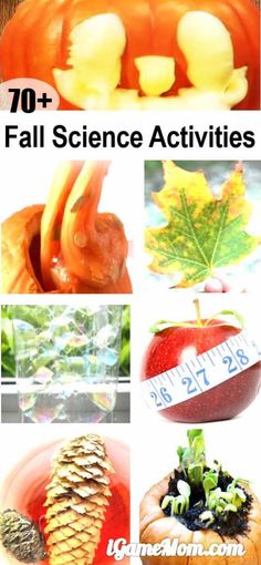 fall science activities for kids with pumpkins and leaves