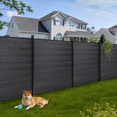 a dog laying in the grass next to a fence