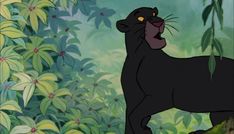 the black panther is standing in front of some green plants and trees with yellow eyes