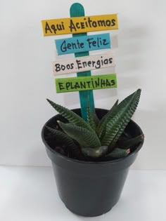 a potted plant with some signs on it