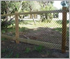 a chain link fence in the middle of a yard with grass and trees behind it