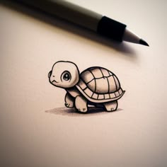 a pencil drawing of a small turtle on top of a piece of paper next to a pen