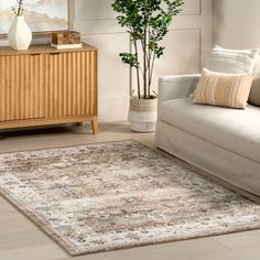 a living room area with a couch, rug and potted plant in the corner