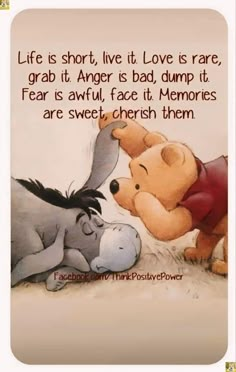 winnie the pooh and her baby pooh with quote about life is short, love is rare grab it anger is bad dump it fear is awful face it memories are sweet cherre