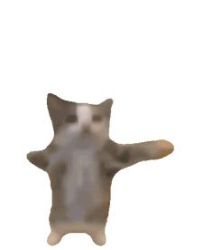 a blurry image of a cat pointing at something in the air with its paw