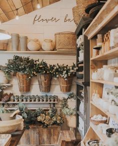 a store filled with lots of potted plants