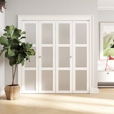 a potted plant sitting in front of a white door with glass panels on it