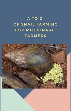 a book cover with an image of a snail on the ground