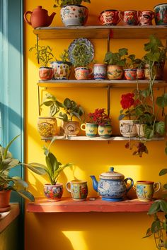 the shelves are filled with potted plants and teapots on top of them