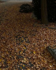 there is a bench in the middle of leaves on the ground next to a tree