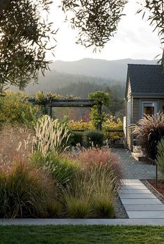 an outdoor garden with lots of plants and flowers on the side of the house, surrounded by greenery