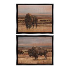 two framed paintings of bisons in a field