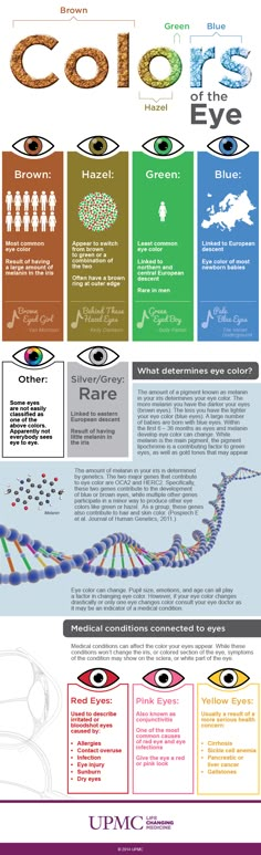 an info sheet describing the different types of eyeglasses and how they are used