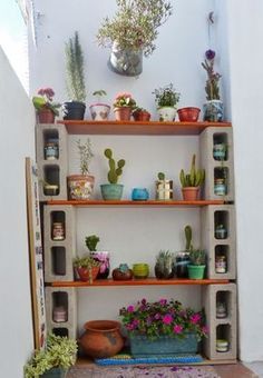 a shelf filled with lots of potted plants next to a wall mounted planter