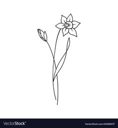 a single flower line drawing on a white background