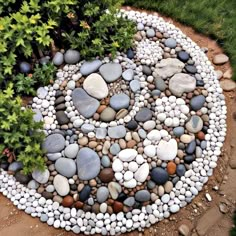 a circular rock garden is shown in the middle of some grass and rocks, along with plants