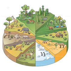 an image of the different types of animals in the land and water cycle, including elephants, rhinos, giraffes, zebras, and more