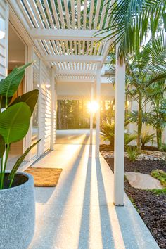 the sun is shining down on an outdoor walkway with potted plants and palm trees