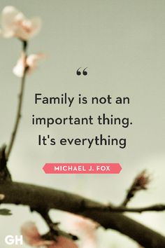 a quote from michael j fox about family is not an important thing it's everything