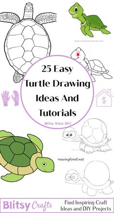 the 25 easy turtle drawing ideas and instructions for kids