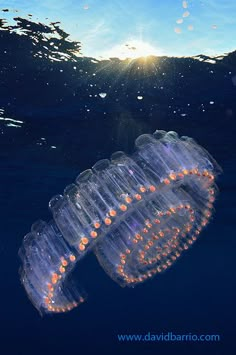 a plastic bottle floating in the ocean with bubbles on it's side and sun shining through