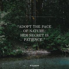 a river with trees in the background and a quote on it that says adopt the pace of nature her secret is patience