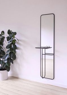 a plant in a pot next to a mirror on the wall and a shelf with plants