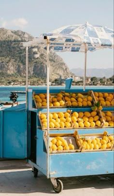 a blue cart filled with lots of oranges next to the ocean under an umbrella