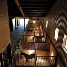 the inside of a barn with horses in stalls and onlookers looking at them