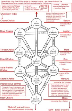 a diagram showing the different types of people's body and their names in red