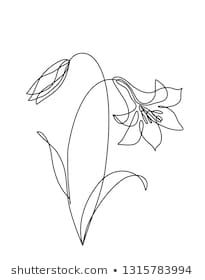 the outline of a flower is shown in black and white, as well as an image of