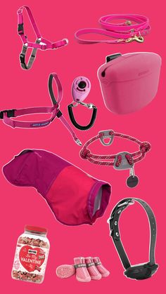 a pink background with many different items including a dog harness, leash, collar and more