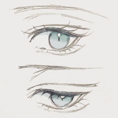 two different types of eyes are shown in this drawing