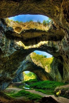 the inside of a cave with green plants growing out of it's sides and an opening in the middle