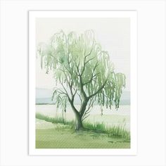 a watercolor painting of a tree in front of a body of water with grass