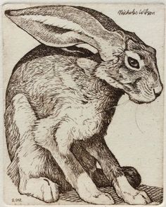 a black and white drawing of a rabbit sitting on top of a piece of paper