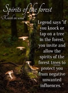 Forest Quotes, Nature Witch, Witch Quotes, Legends And Myths, Forest Bathing, Witch Magic, Practical Magic