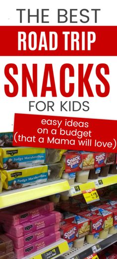 the best road trip snacks for kids easy ideas on a budget that a mama will love