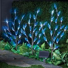 blue lights in the shape of stars are on top of green plants and grass near a brick wall