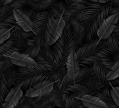 black and white photograph of leaves