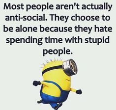 Minion Meme, Minion Pictures, Funny Minion Quotes, Minion Quotes, Minions Quotes, Anti Social, Minions Funny