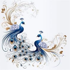 two peacocks are standing next to each other in front of a white background with gold and blue swirls