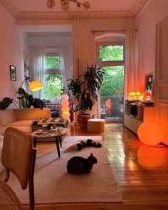 a living room filled with furniture and a cat laying on the floor