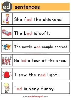 sentence worksheet for kids with pictures and words to help them understand the subject